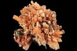 Orange Creedite Crystal Cluster - Durango, Mexico #84207-1